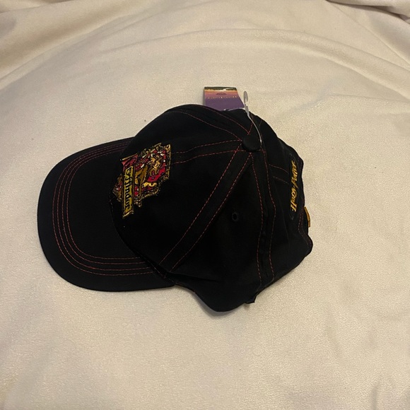 NWT Harry Potter Gryffindor Hat - Picture 2 of 4